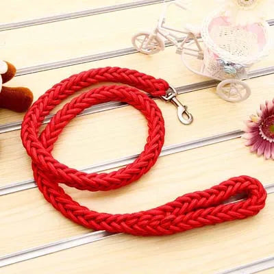 Power walk Leash