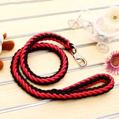 Power walk Leash