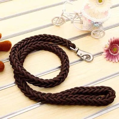 Power walk Leash