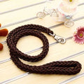 Power walk Leash