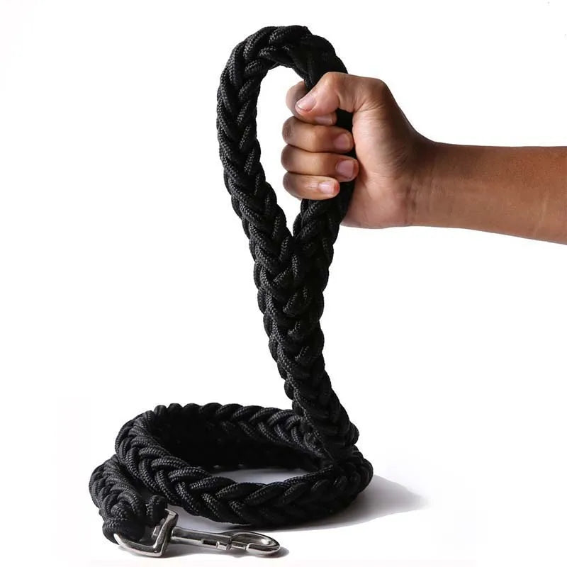 Power walk Leash