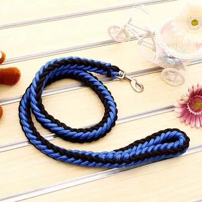 Power walk Leash