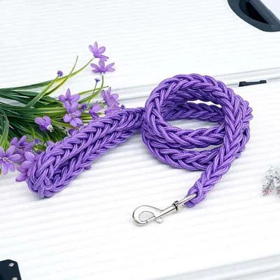 Power walk Leash
