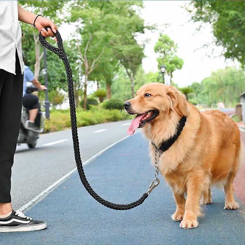 Power walk Leash