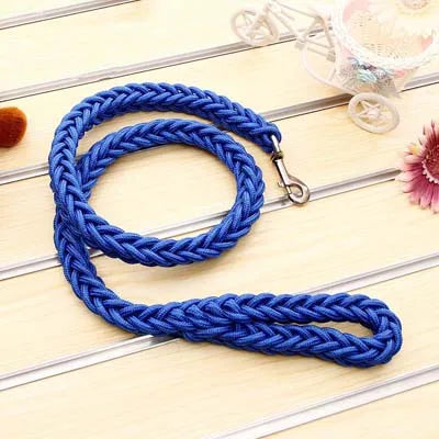 Power walk Leash