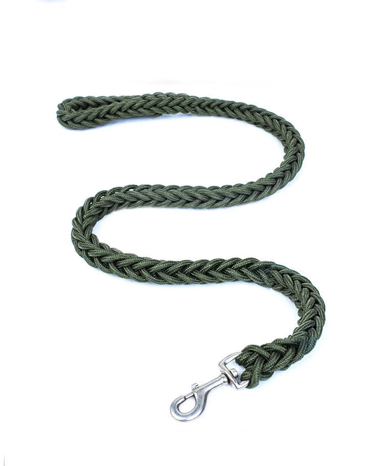 Power walk Leash