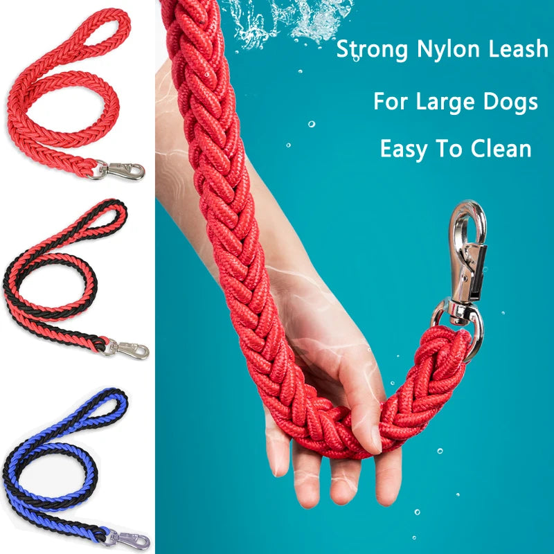 Power walk Leash