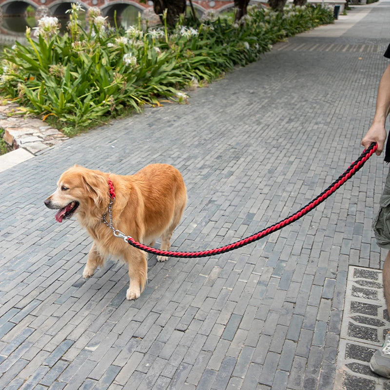 Power walk Leash