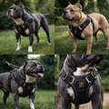 Prestige Bully Harness